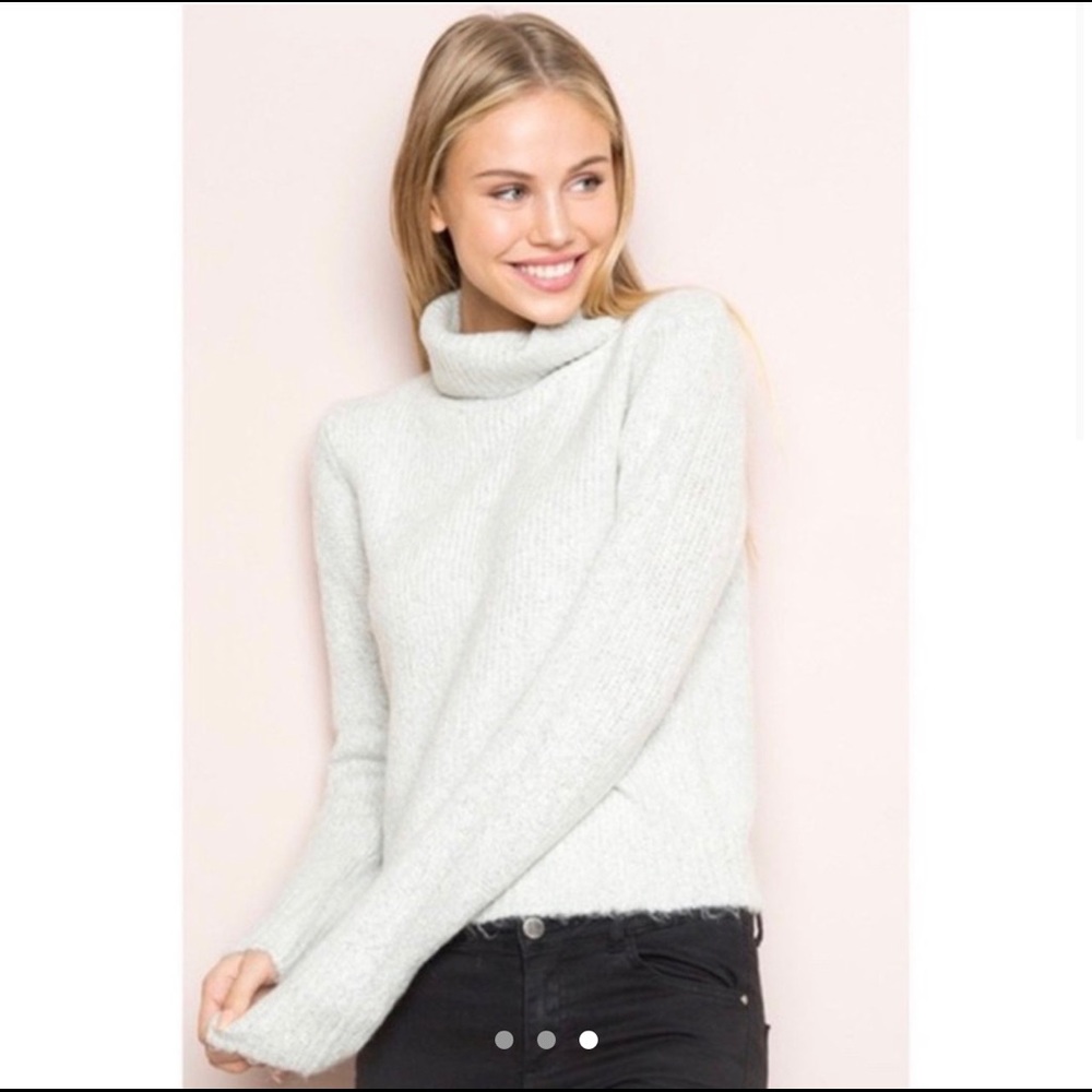 NWOT Brandy Melville Cassia Turtleneck Sweater